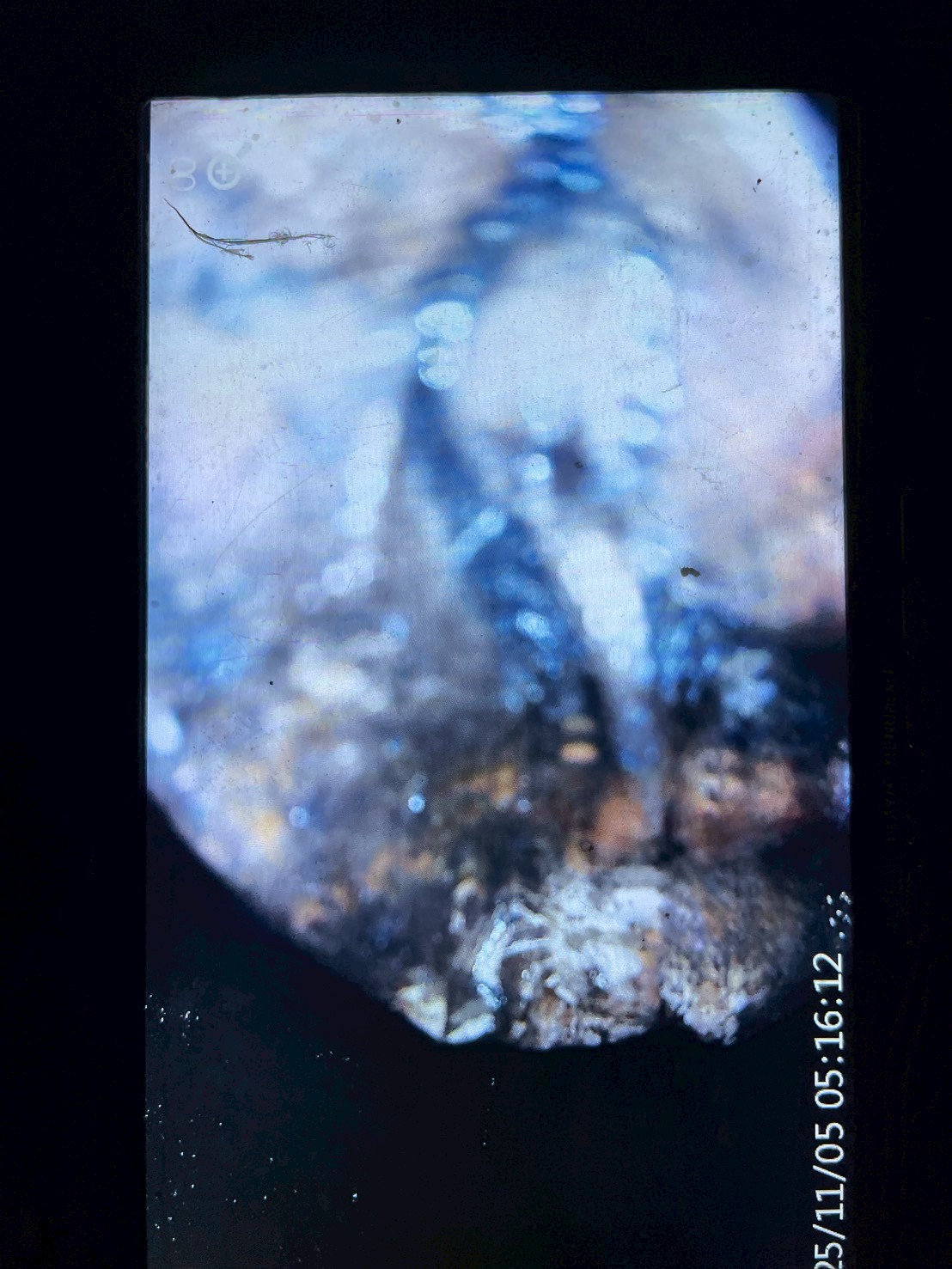 悠活十八 114/11/04、11/05 B1・B2・B3 汙廢水管水刀洗管案例