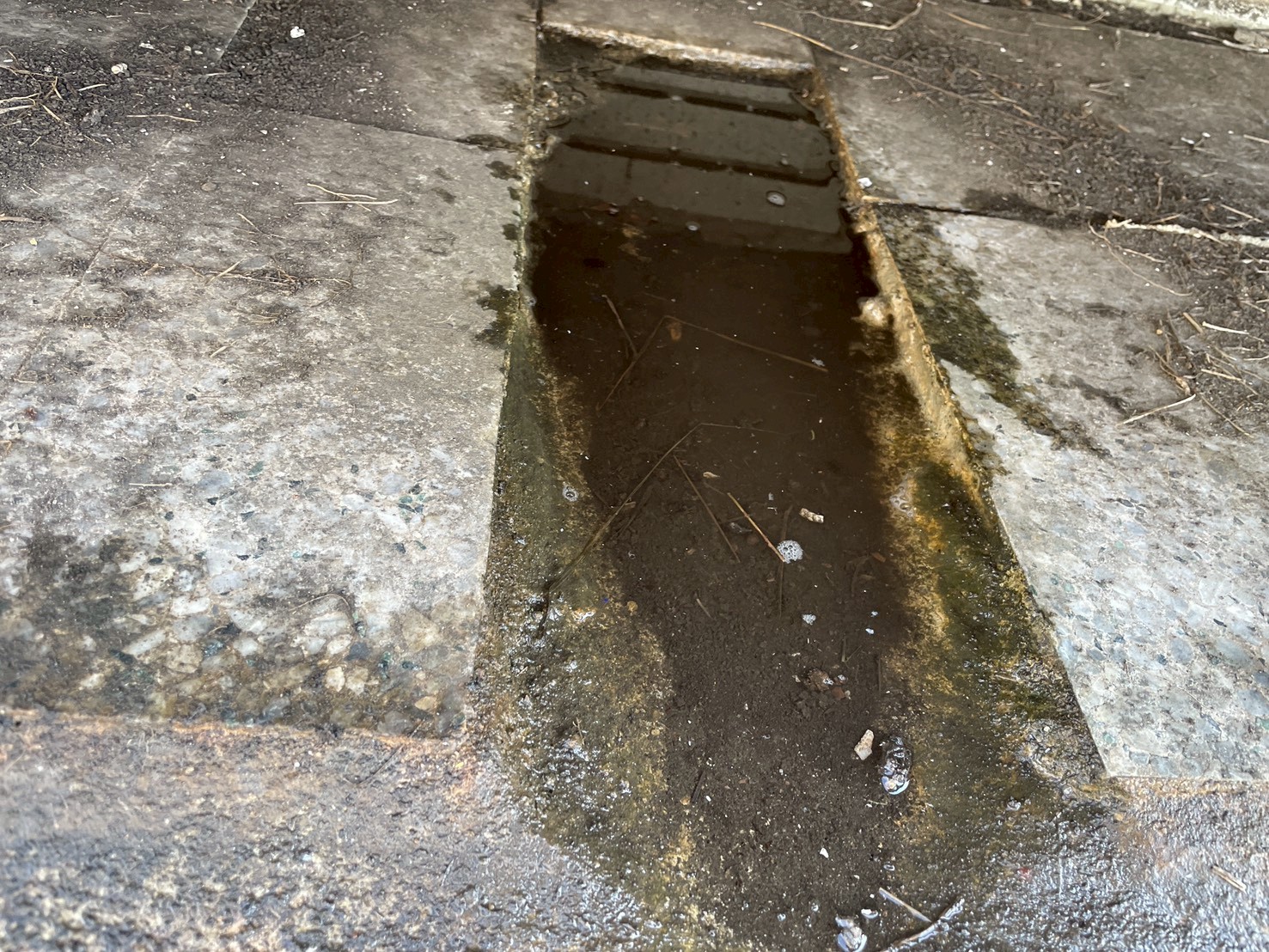 1141217案例分享：【北歐客廳】管路大診斷—頂樓地排通管與 B1 汙廢水熱顯像檢測紀錄