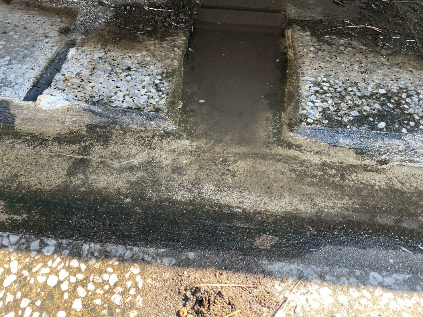 1141217案例分享：【北歐客廳】管路大診斷—頂樓地排通管與 B1 汙廢水熱顯像檢測紀錄