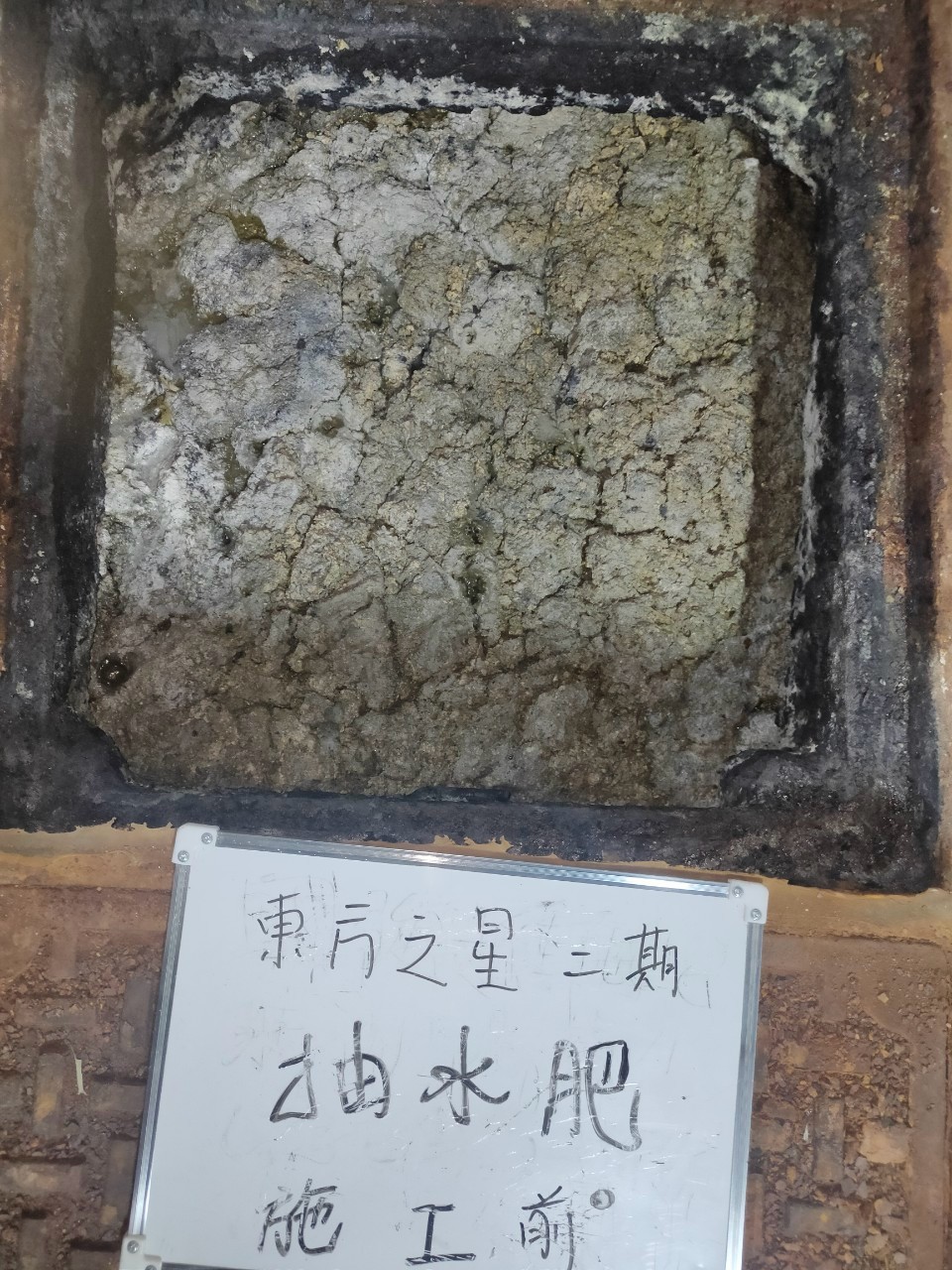 【實績紀錄】114/03/12 東方之星二期社區抽水肥作業(施工前)