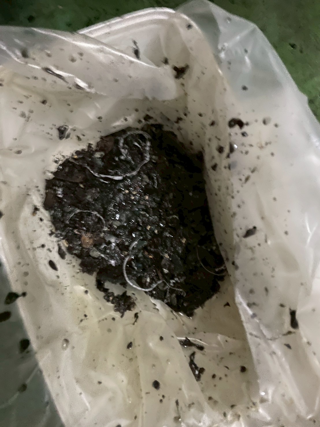 星光市水刀洗管案例：桃園聯排住宅社區的基礎設施升級(清出的髒物)
