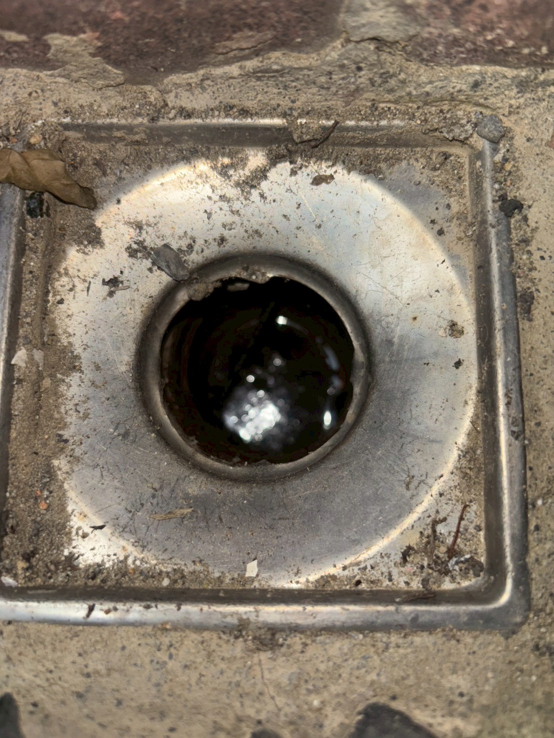 1140926寶成皇家現勘(總55口地排)清潔服務