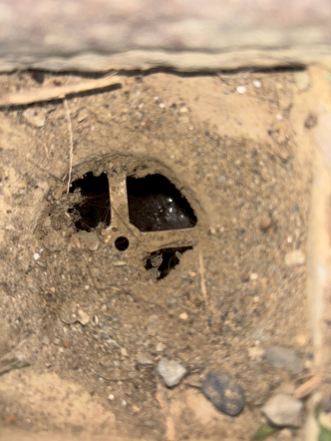 1140926寶成皇家現勘(總55口地排)清潔服務