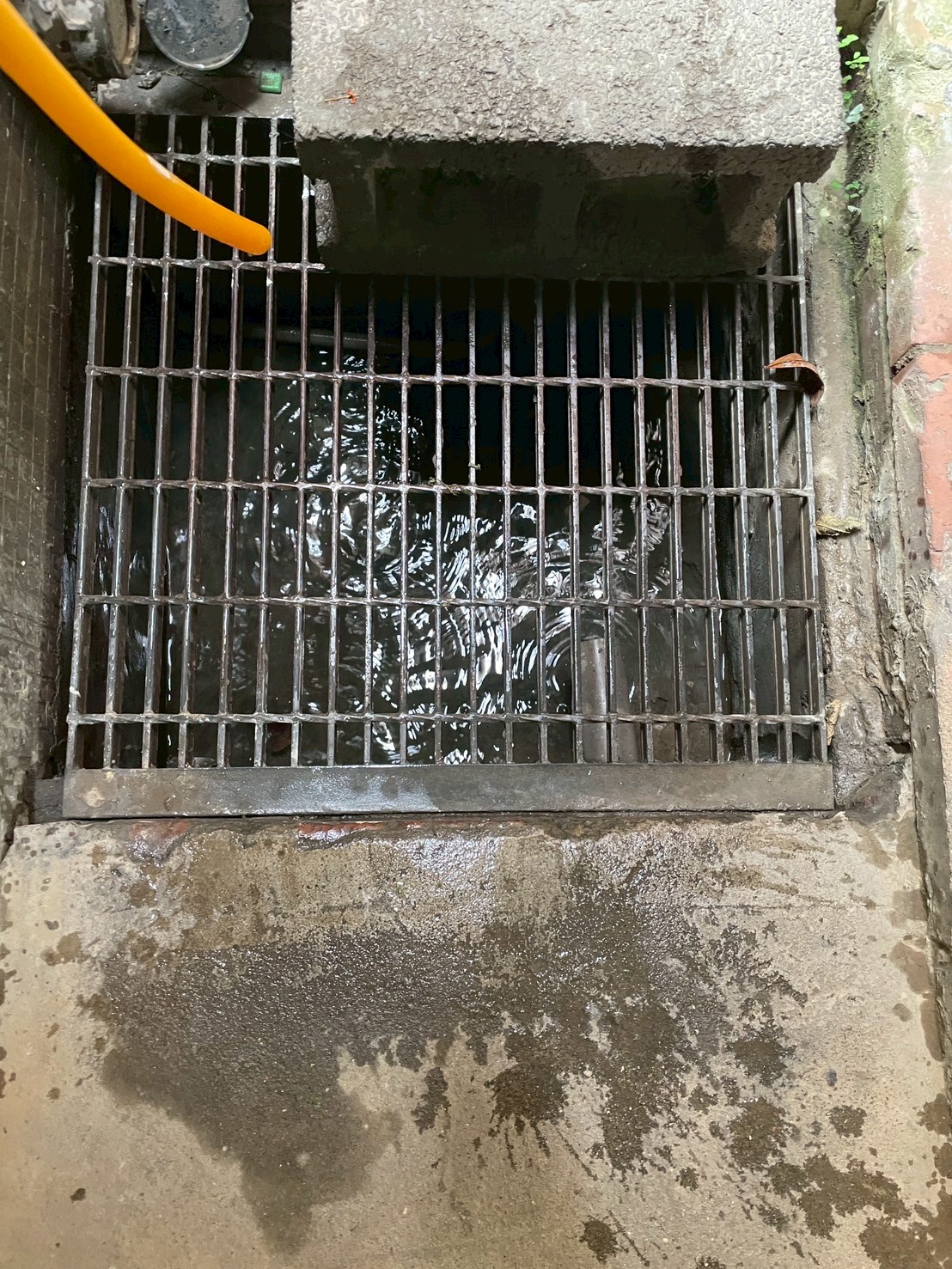 1140926寶成皇家現勘(總55口地排)清潔服務