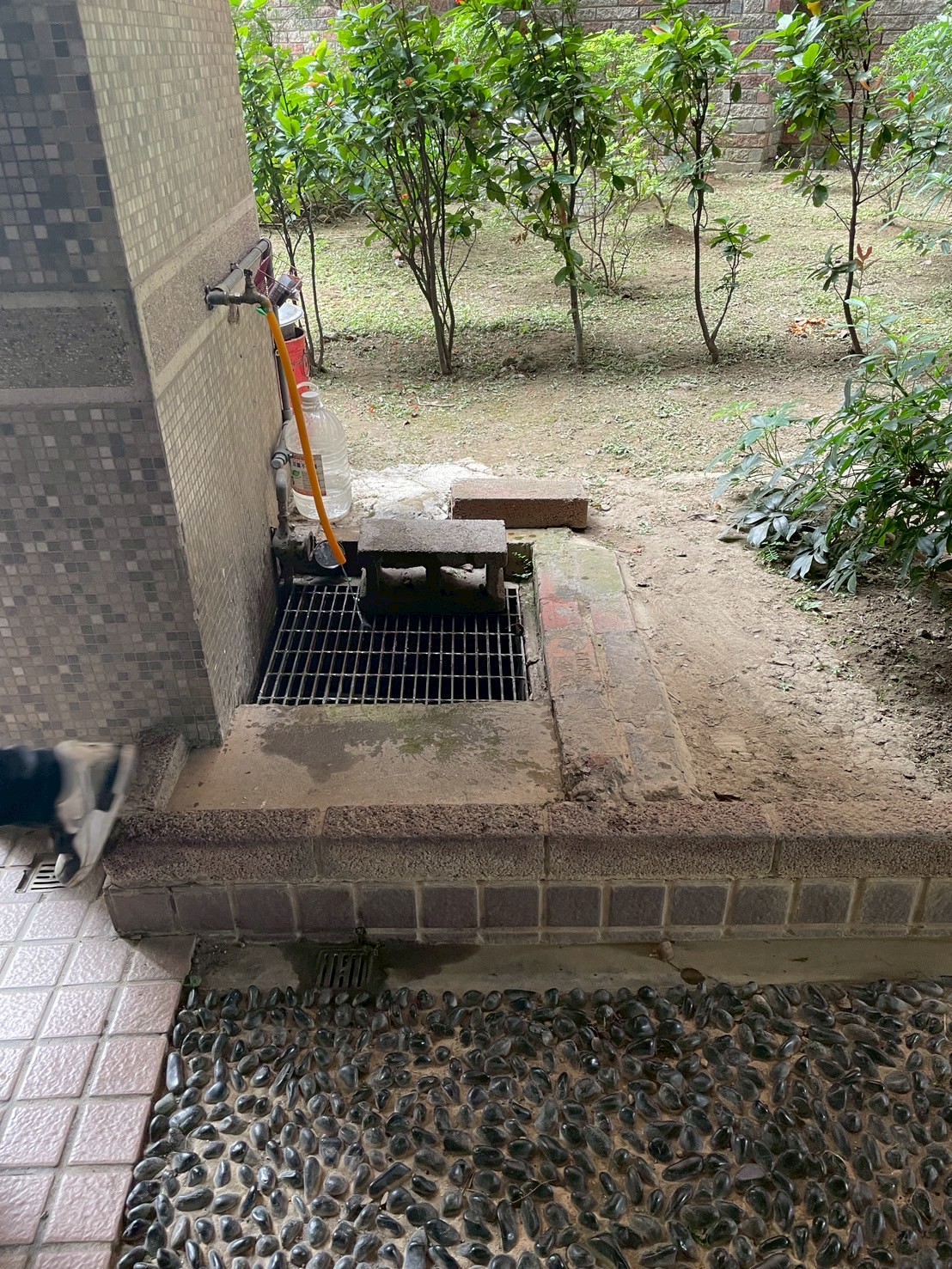 1140926寶成皇家現勘(總55口地排)清潔服務