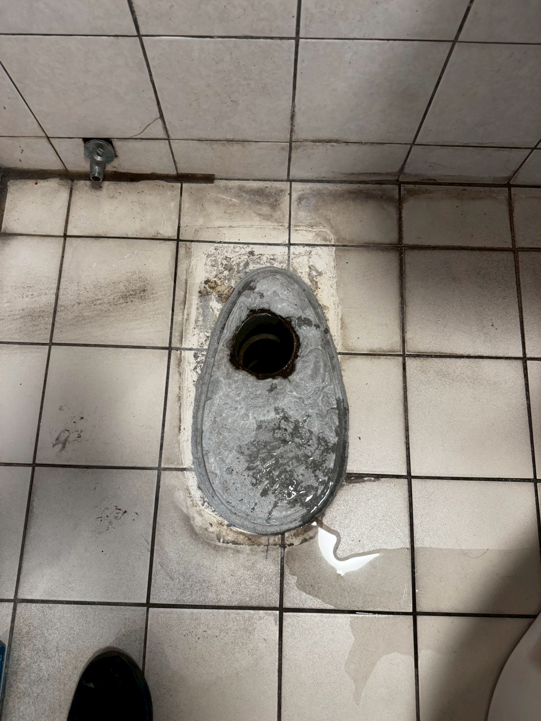 1140915宏國中壢新城馬桶通氣閥管工程-最終完工