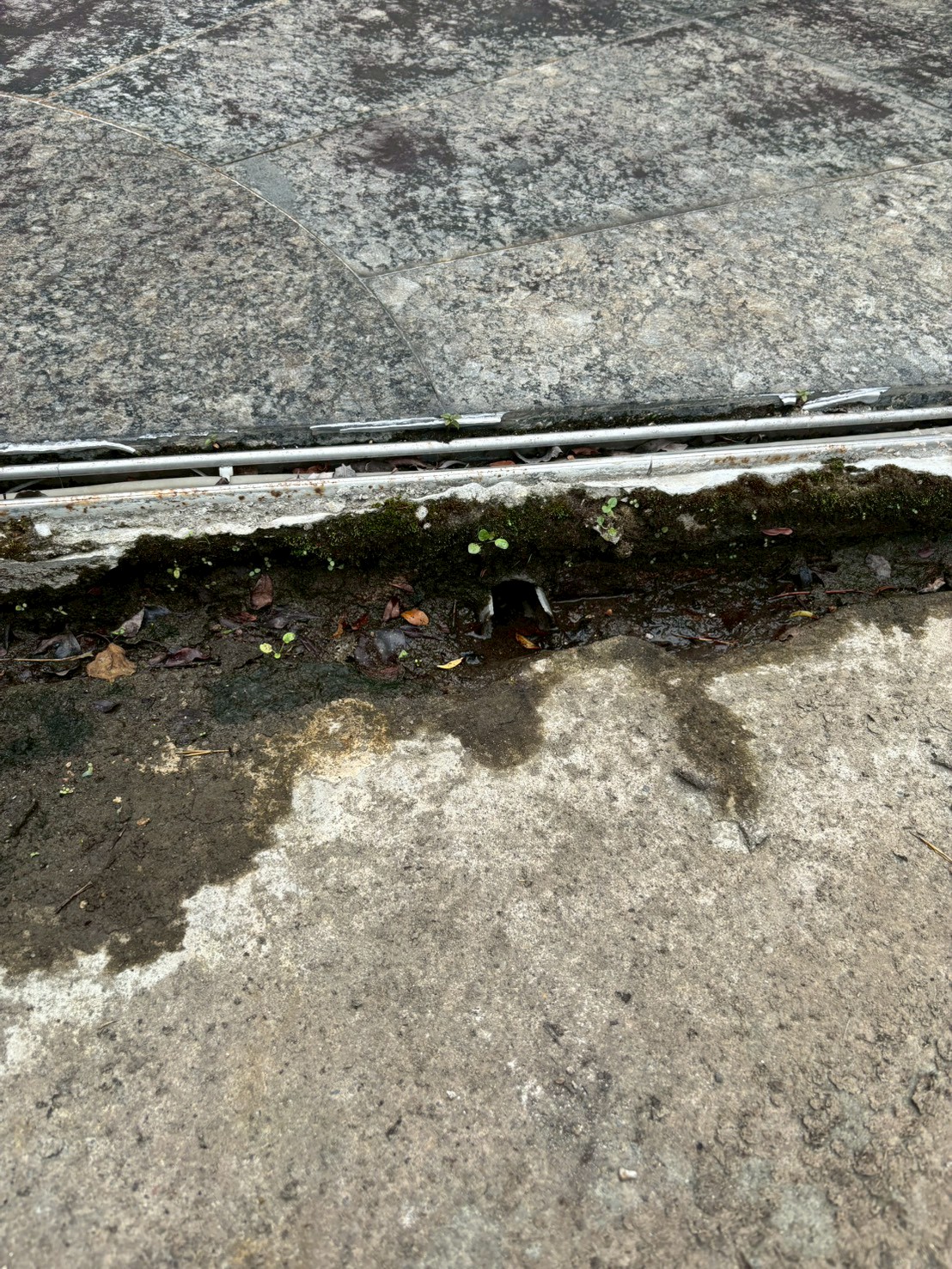 1150504桃園市陽明苑社區｜B1廢水管線現勘檢測案例-漏水出來位置