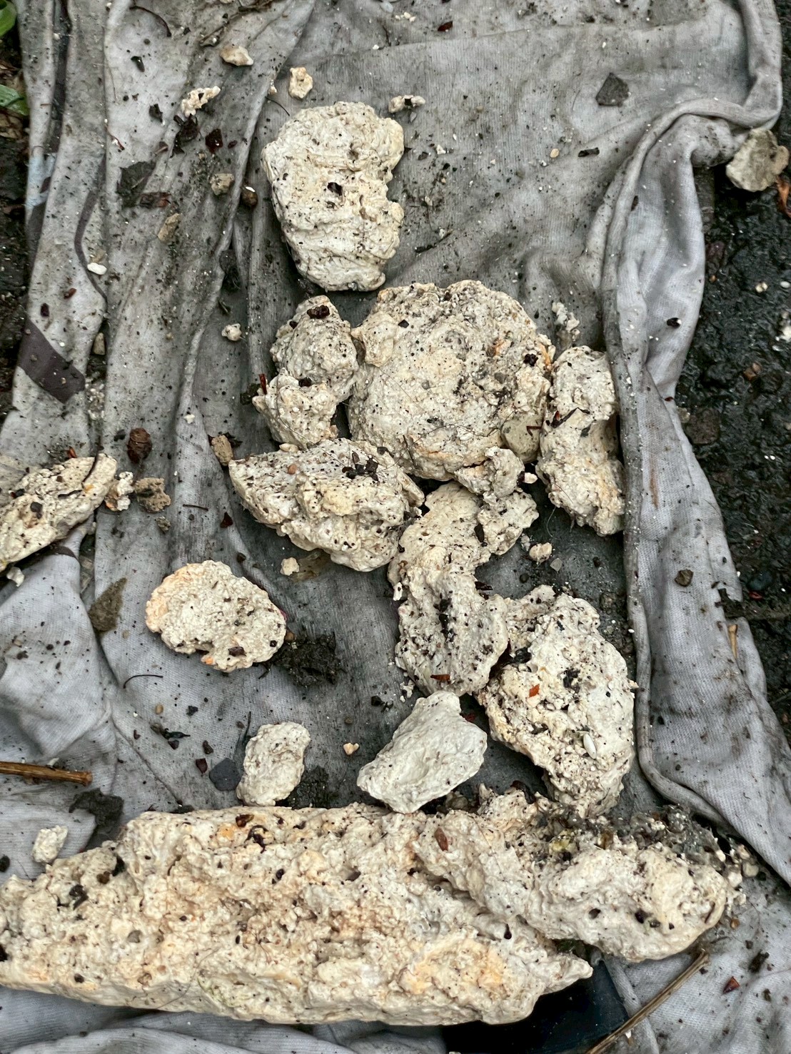 陸光新城第二期1150430水刀洗管案例|高壓水刀清洗公共管線,打造順暢排水環境-定期清潔避免這些異物又再次堵塞管路