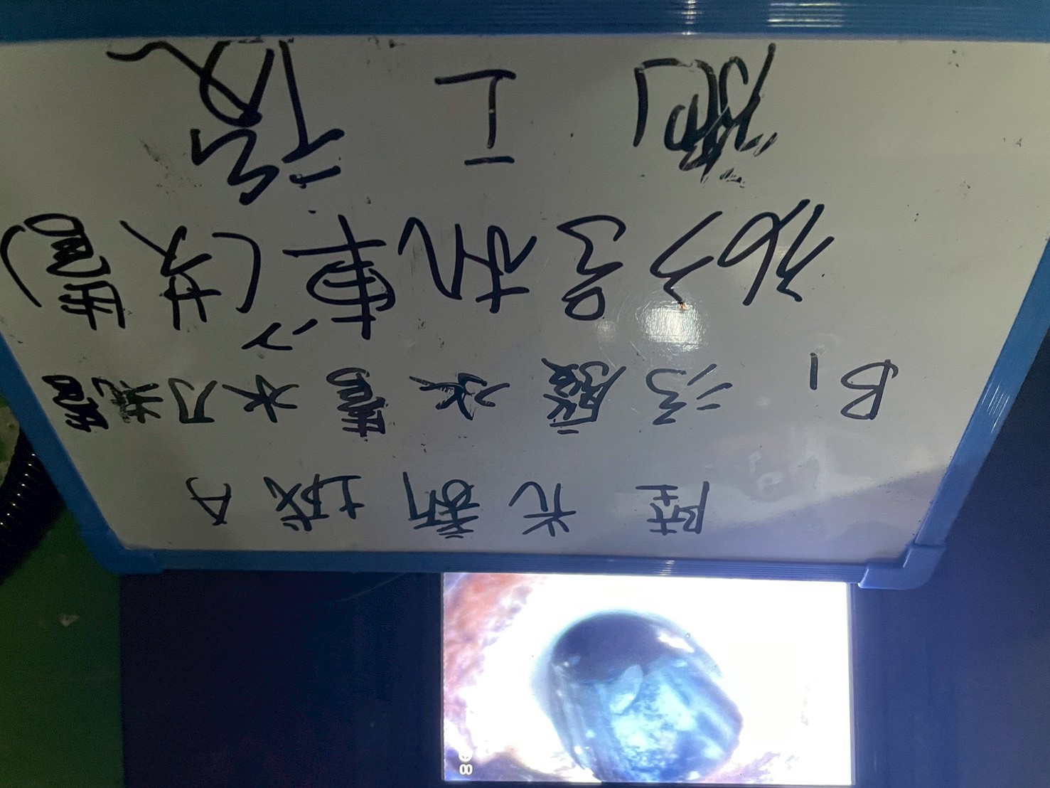 第三期陸光新城A區 2026/5/15 污廢水管水刀洗管＋清潔口裝設案例-施工後內視鏡檢測管路乾淨
