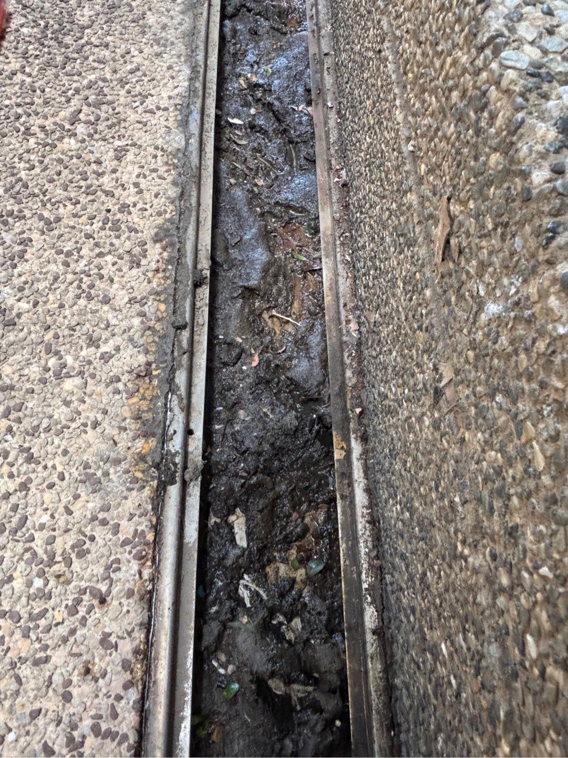 114/10/31鴻築吾江社區車道截水溝及中庭清淤服務案例