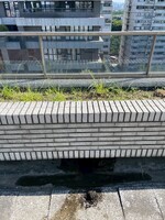 1141217案例分享：【北歐客廳】管路大診斷—頂樓地排通管與 B1 汙廢水熱顯像檢測紀錄