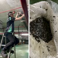 星光市水刀洗管案例：桃園聯排住宅社區的基礎設施升級